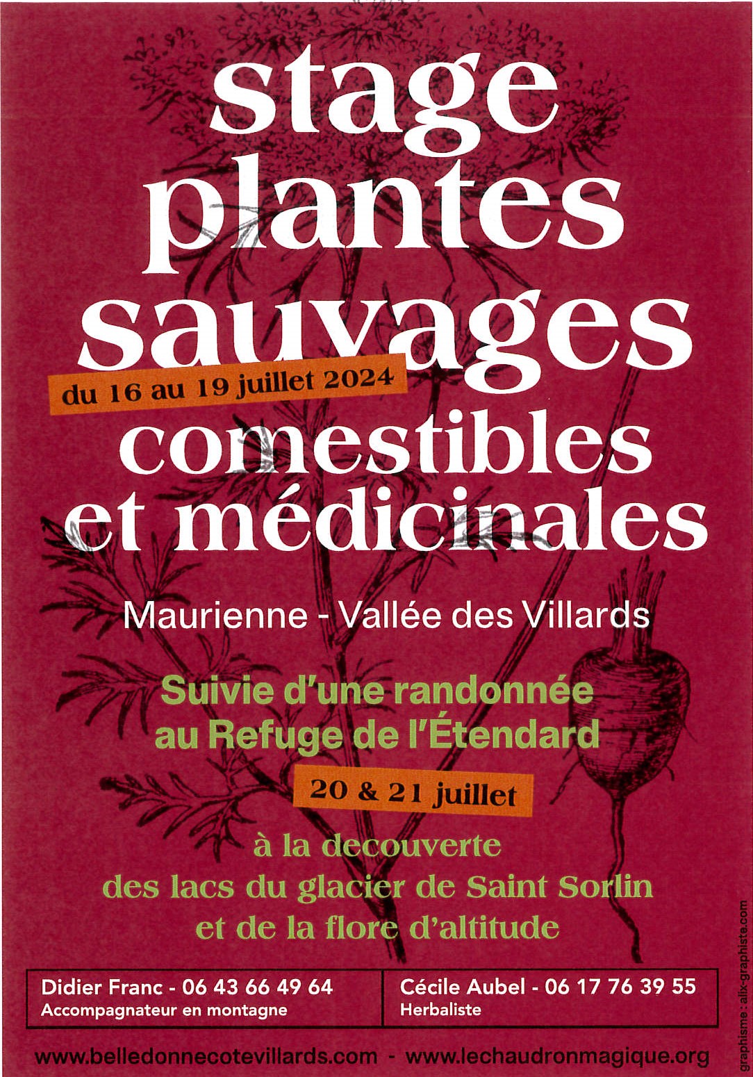 stage plantes sauvages